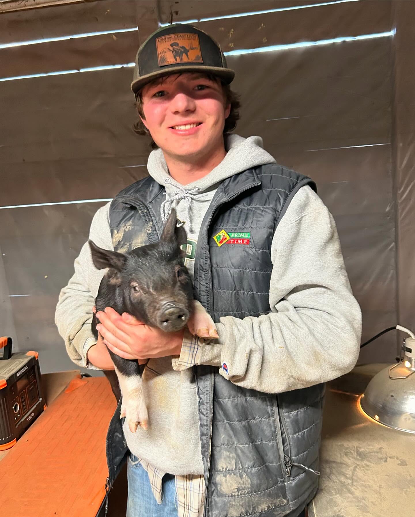 Housing activation and safe sites